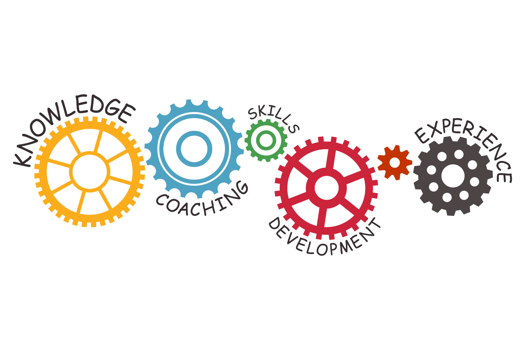 Read more about the article Professional development in Mercer County
